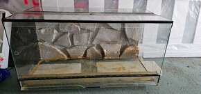 Predam terarium 100x50x50 - 2