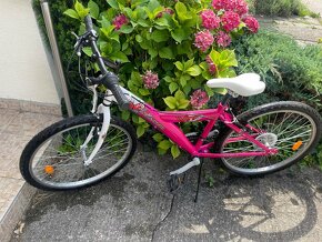 Bicykel Kenzel Wind 300 - 2