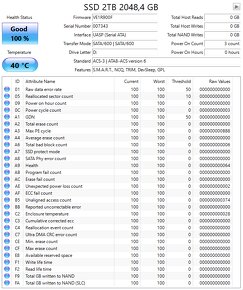 SSD M.2 SATA WD / DogFish / SSD 2TB - 2