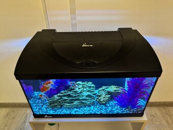 Akvárium Diversa 60l - 2