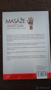 Masaze anatomia - 2