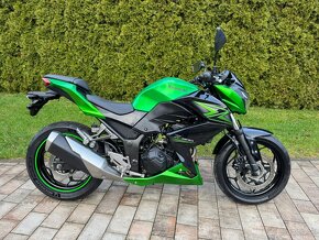 Kawasaki Z300 - 2