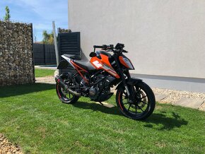 KTM Duke 125 2019 - 2