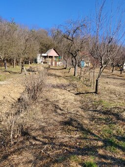 Tomášovce - záhradná chatka s pozemkom 400m2 - 2