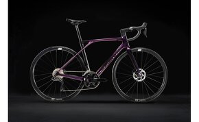 LAPIERRE Xelius SL 5.0 Di2 Luxy Blackberry - 2