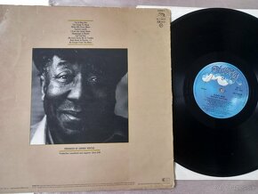 Muddy WATERS   “King Bee” /Blues Sky 1981/ mnozstvo malych s - 2