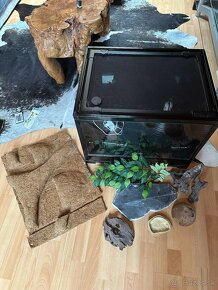 Terarium pre plazy - 2