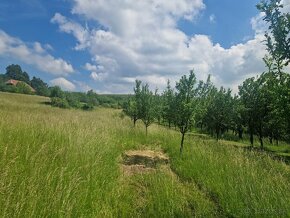 Predaj / Pozemok neďaleko mesta s ľahkou dostupnosťou na pol - 2