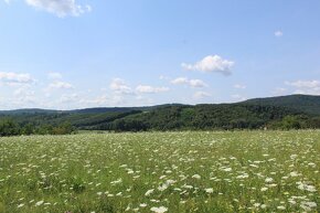 Poľnohospodárske pozemky na predaj - Horná Strehová - 2