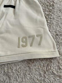 Essentials Fear Of God Shorts(Kraťasy) - 2