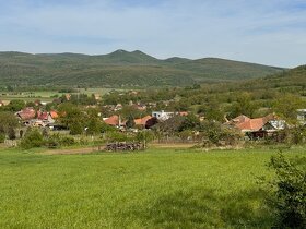 Predaj- RD vo vidieckom štýle v obci Leľa, 10 km od Štúrova - 2