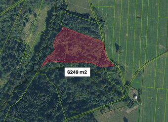 Lysica – 6.249 m2 LES – NA PREDAJ - 2