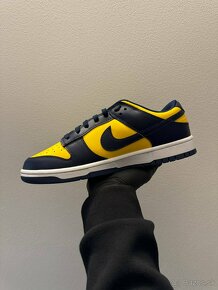 Nike Dunk Low Michigan - 2