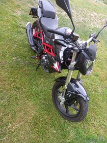 Benelli BN 125 2019 VP A1 - 2