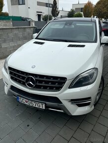 Mercedes-Benz ML 250 BLUETEC 4MATIC - 2