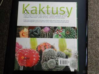 Kaktusy - 2