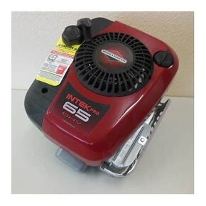 briggs stratton intek pro 6.5 hp - 2