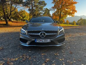 MERCEDES-BENZ CLS 250d - 2