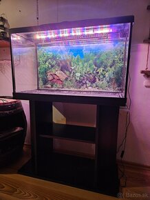 Akvarium 100l - 2