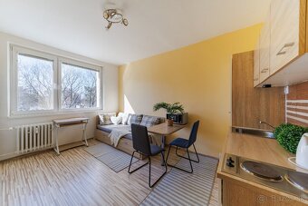 SLNEČNÁ ZREKONŠTRUOVANÁ GARSÓNKA 20m², VILOVÁ, PETRŽALKA - 2