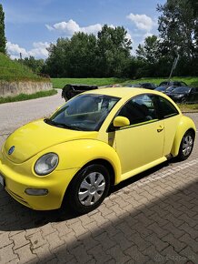 New Beetle - 2