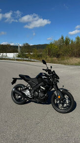 Yamaha MT 125 - 2