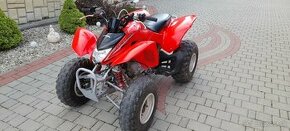 Honda Trx 250 2009 - 2