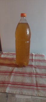 PREDÁM NÁPOJ KOMBUCHA - 2