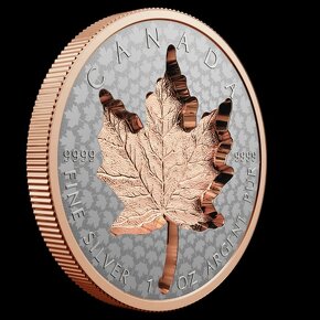 investičné strieborne mince - maple leaf super incuse - 2