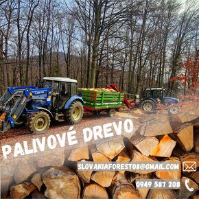 Palivove drevo - 2