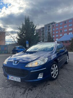 Peugeot 407 SW 2.0 HDi - 2