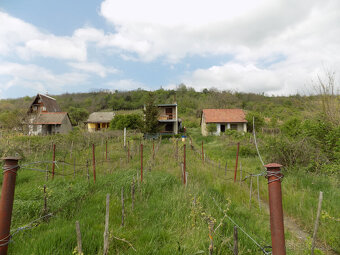 Len u nás Viničný domček s vinicou  2061 m2 pri Štúrove na  - 2