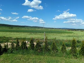 Pozemky v Bobrove o celkovej výmere 2589m2 - 2