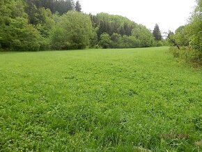 Na predaj veľký pozemok v Brvništi okr. Považská Bystrica - 2