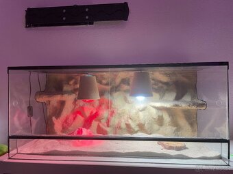 Terarium pre agamu - 2