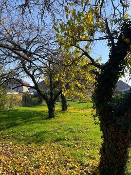 BABONY TRE - Rodinný dom so záhradou, pozemok 1104m2, Okružn - 2