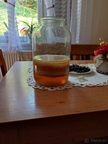 Kombucha - 2