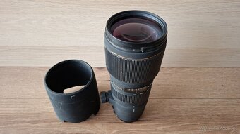 Sigma 100-300mm f/4 EX DG HSM - 2