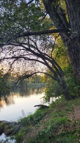 Na predaj pozemok zo starším  Rd Jur nad Hronom - 2