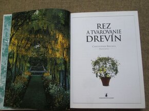 Rez a tvarovanie drevín - 2