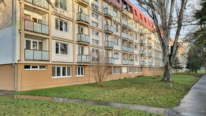 3 IZBOVÝ BYT 53,6 M2 S VÝHĽADOM NA VÁH, BALKÓN, LOGGIA, PIEŠ - 2