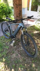 Amulet erival 4.5 ebike - 2