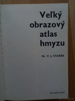 Veĺký obrazový atlas hmyzu - 2