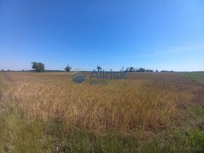 Pozemok - orná pôda vhodná na pestovanie s výbornou bonitou. - 2