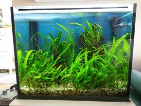 Akvarium 240L  80x50 - výška 60cm - 2