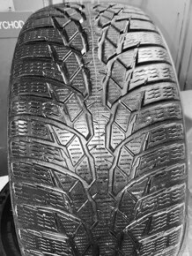 225/45 R17 91H NOKIAN WR D4 - 2