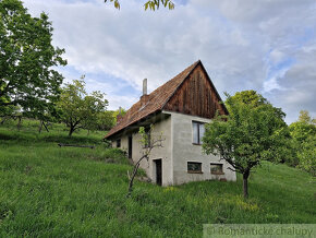 Viničný dom a vinica so vzácnou morušou v Devičanoch - 2