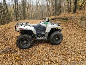 Arctic cat Thundercat 1000 - 2