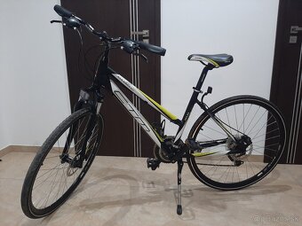 Dámsky bicykel CTM Maxima 3.0 - 2