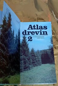 Atlas drevín 2 (CUDZOKRAJNÉ DREVINY) - 2